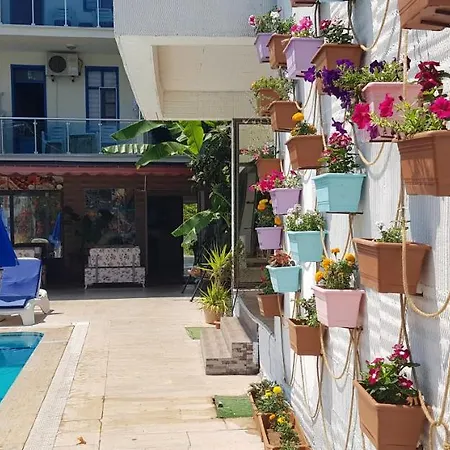 Hotel Alis *