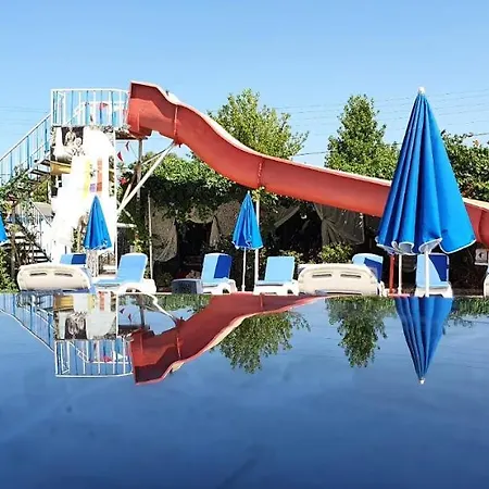 Alis Fethiye