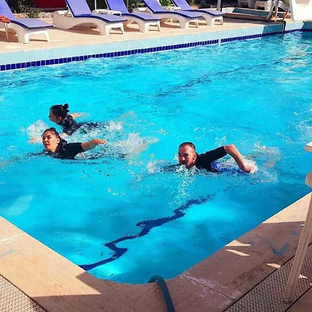 Hotel Alis *