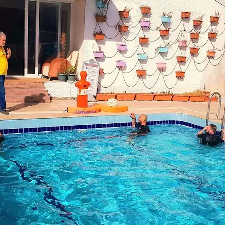 Alis Fethiye