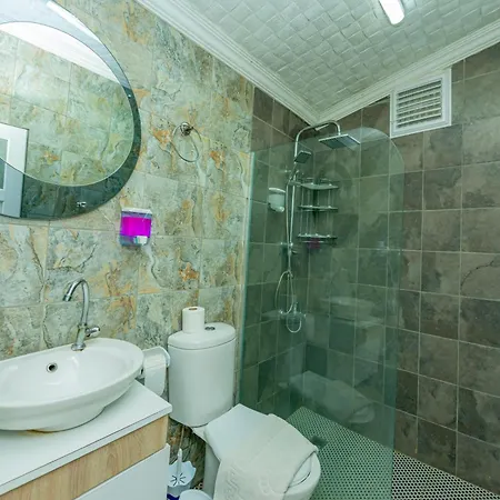 Alis ホテル フェティエ