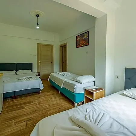 Alis Hotel 2*