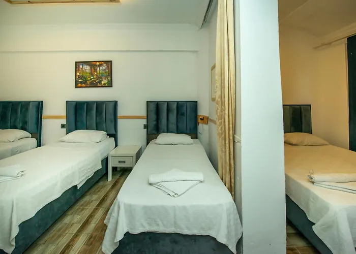 Aliş Otel 2*