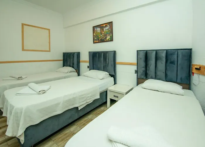 Otel Aliş
