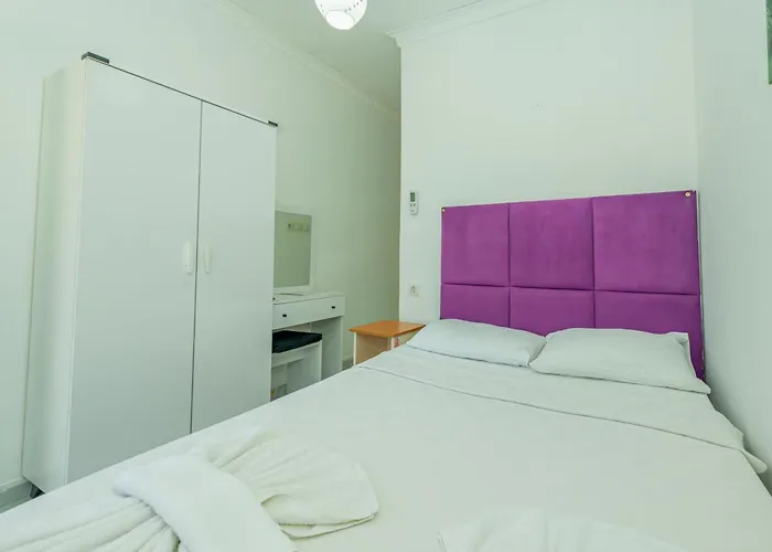 Otel Aliş