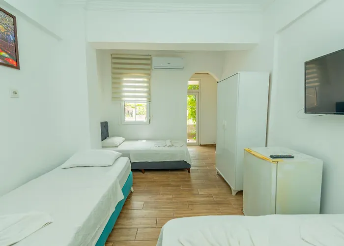 Aliş Otel 2*