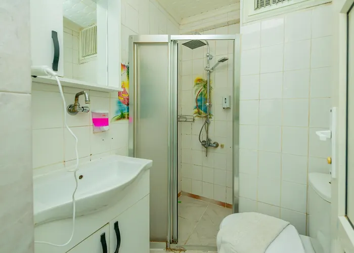 Aliş Otel 2*