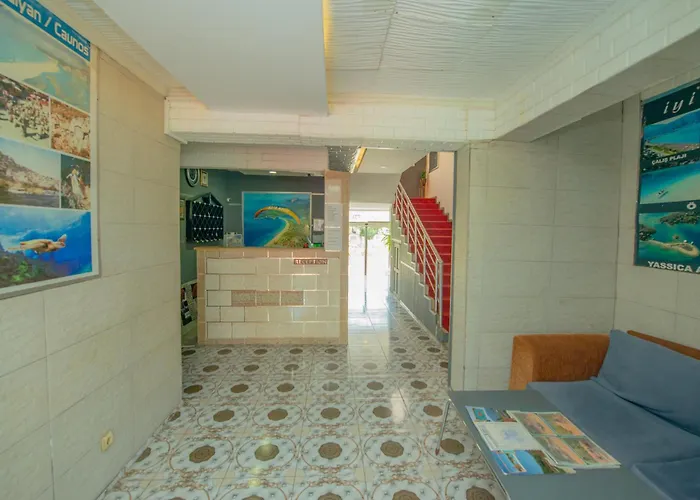 Otel Aliş 2*