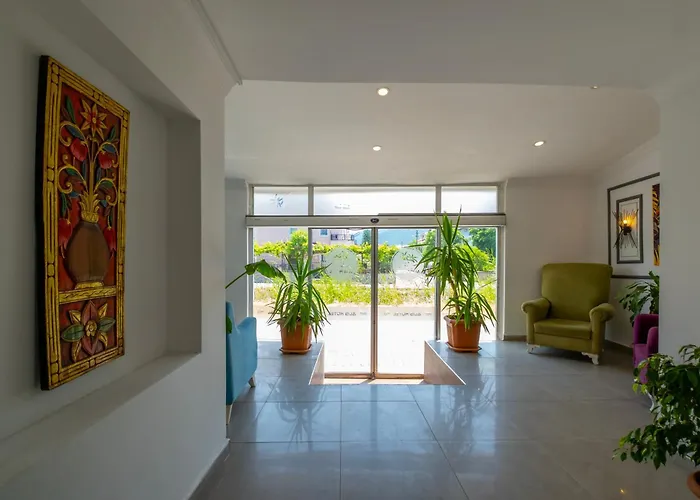 Aliş Otel 2*
