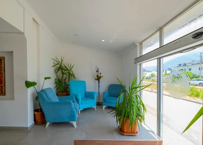 Aliş 2* Fethiye
